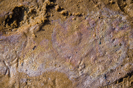 Rainbow oil slick on the sand. Textured background. Pollution of water and ground concept.の写真素材