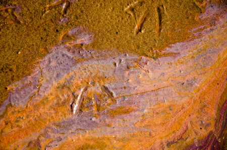 Rainbow oil slick on the sand with bird steps. Textured background. Pollution of environment, water and ground concept.の写真素材