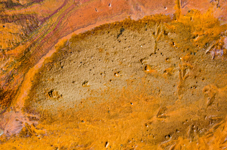 Rainbow oil slick on the sand with bird steps. Textured background. Pollution of environment, water and ground concept.の写真素材