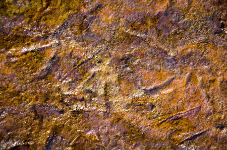 Rainbow oil slick on the sand. Textured background. Pollution of water and ground concept.の写真素材