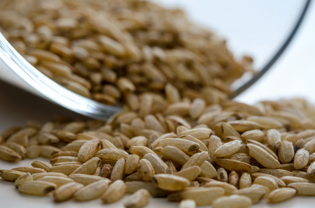 Pile of the uncooked raw wild rice with pollen near glass bowl. Healthy lifestyle concept. Closeup macro shot.の写真素材