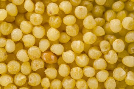 Uncooked raw millet. Food background. Healthy lifestyle concept. Closeup macro shot.の写真素材