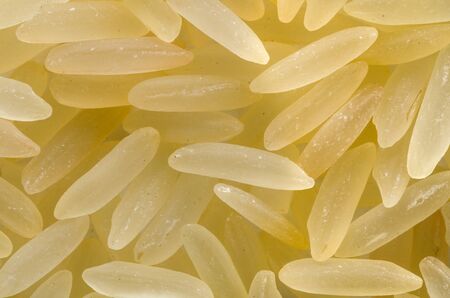 Uncooked raw basmati rice. Food background. Healthy lifestyle concept. Closeup macro shot.の写真素材