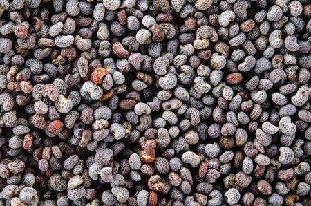 Uncooked raw poppy seeds. Food background. Healthy lifestyle concept. Closeup macro shot.の写真素材