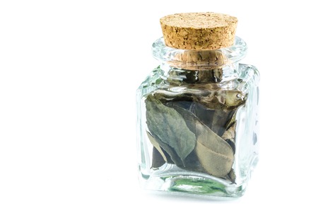 Dry curry leaves in glass bottle isolated on white background. Closeup macro shot.の写真素材