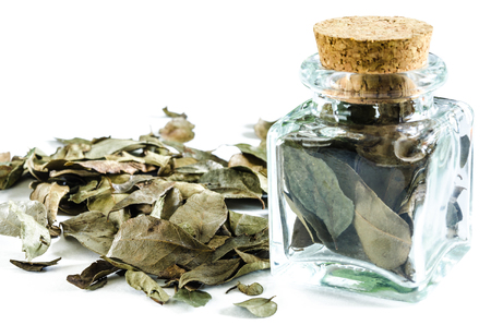 Dry curry leaves in glass bottle and in a heap isolated on white background. Closeup macro shot.の写真素材