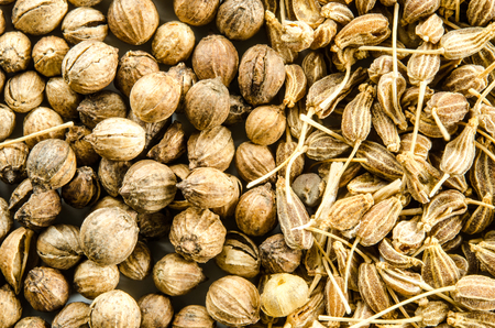 Dry seeds of anise and cilantro. Food background. Closeup macro shot. Top view.の写真素材