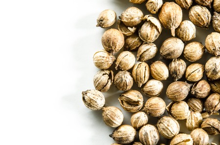 Dry cilantro seeds isolated on white. Food background with copy space. Closeup macro shot. Top view.の写真素材