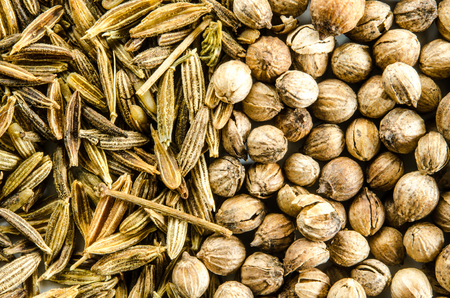 Dry seeds of cumin and cilantro. Food background. Closeup macro shot. Top view.の写真素材