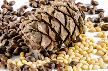 Pile of pine nuts and pine cone isolated on white background.の写真素材