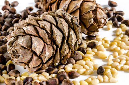 Pile of pine nuts and pine cone isolated on white background.の写真素材