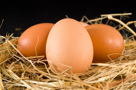Hen eggsの写真素材