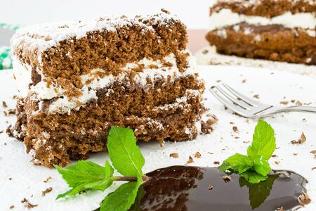 chocolate pie with whipped creamの写真素材