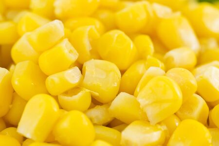 sweet cornの写真素材
