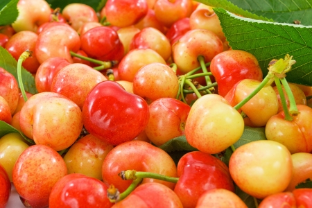 cherriesの写真素材