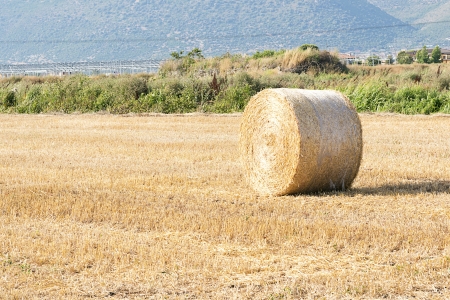 bale of hay の写真素材