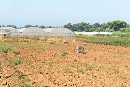 Field after the harvest, greenhousesの写真素材