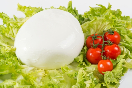 buffalo mozzarellaの写真素材