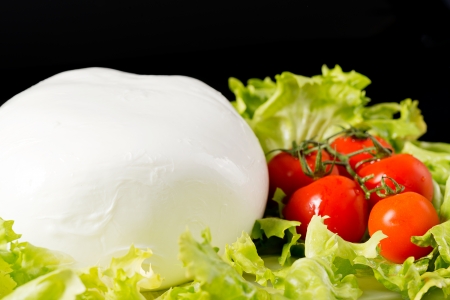 buffalo mozzarellaの写真素材