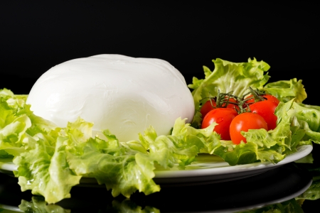 buffalo mozzarellaの写真素材