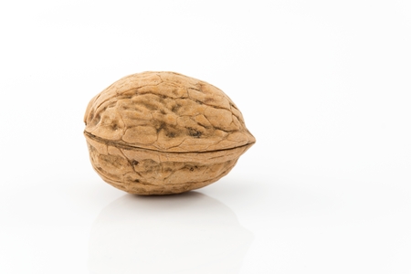 walnut