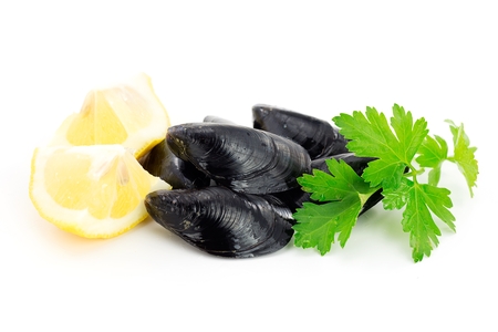 musselsの写真素材
