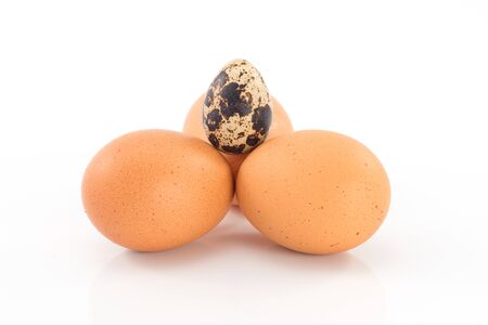 chicken eggs and quail eggs の写真素材