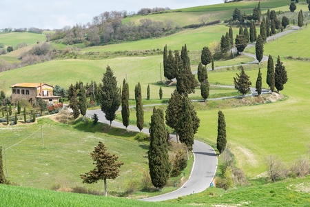 Tuscanyの写真素材
