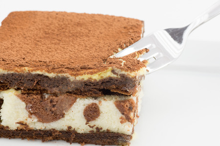 Tiramisu cakeの写真素材