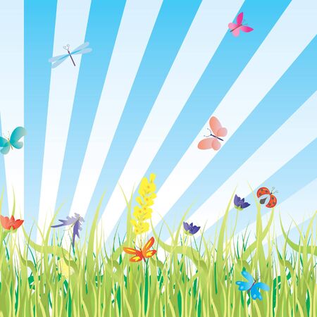 vector grass, flowers, butterflies meadow illustrationの写真素材