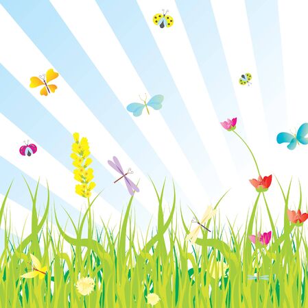 vector grass, flowers, butterflies meadow illustrationの写真素材