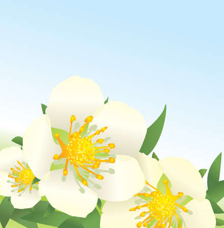  white wild roses flowers on blue sky backgroundの写真素材
