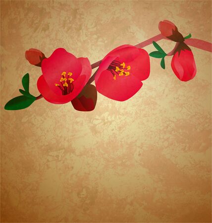 red flowers tree banch grunge vintage style illustrationの写真素材
