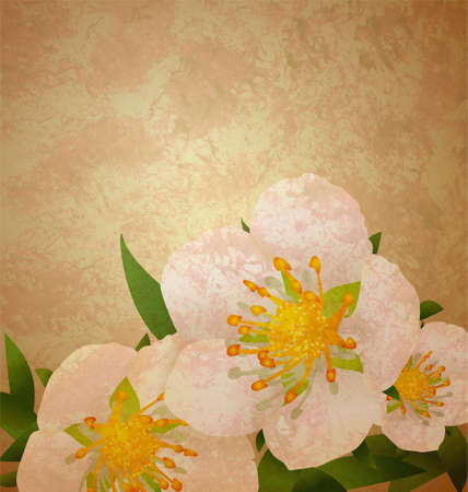 wild roses white flowers grunge vintage style illustrationの写真素材