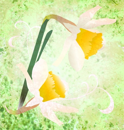 grunge daffodil wild flowers illustration spring fresh imageの写真素材