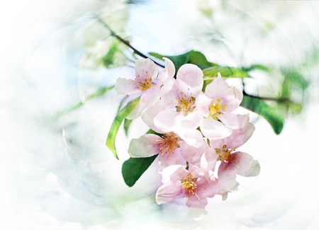 spring trees blossom CG watercolor illustrationの写真素材