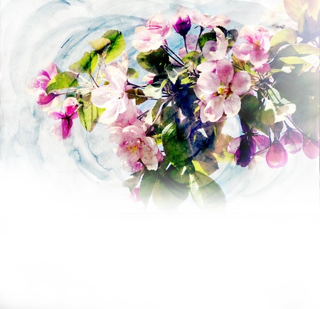 spring trees blossom CG watercolor illustrationの写真素材