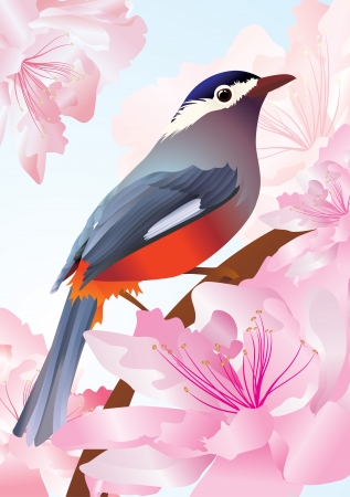vector bird in spring flowers pink blossomの写真素材