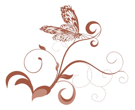 brown curves with butterflyの写真素材