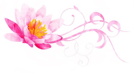 pink water lily CG watercolor illustration isolated on whiteの写真素材