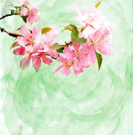 spring trees blossom CG watercolor illustrationの写真素材