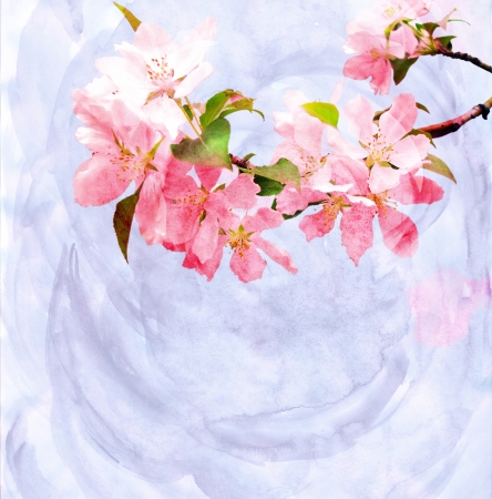 spring trees blossom CG watercolor illustrationの写真素材