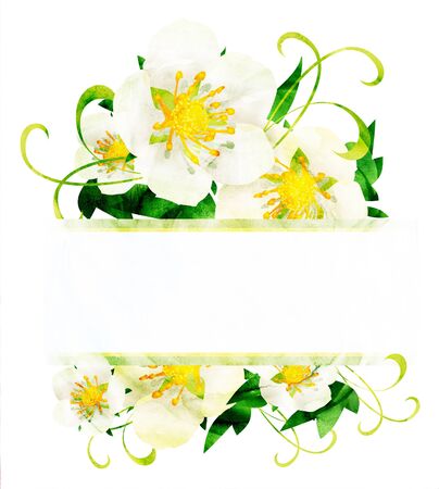 CG watercolor white wild roses flowers border isoleted on whiteの写真素材