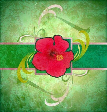 colorful graphic flowers on grunge watercolor backgroundの写真素材