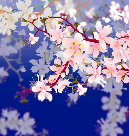vector blossoming tree brunch in the garden on the blue sky backgroundの写真素材