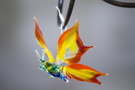 The decorative glass butterflyの写真素材