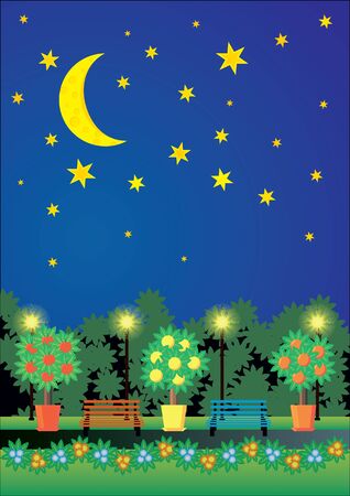 cartoon night city parkの写真素材