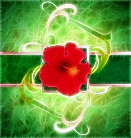 colorful graphic flowers on grunge watercolor backgroundの写真素材