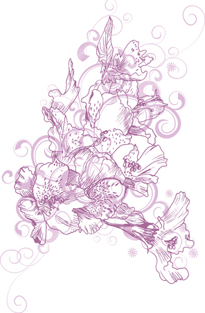 pink hand drawn flowers and decorative curvesのイラスト素材