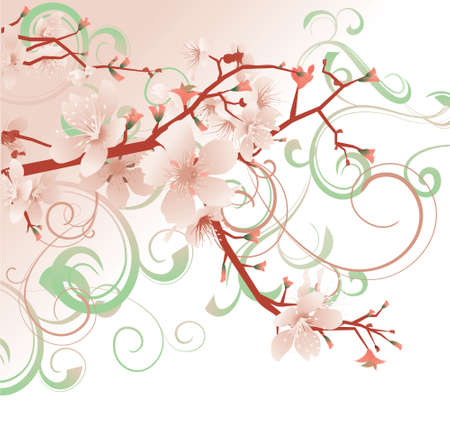 pink blossom spring flowers tree pastel colorsの写真素材